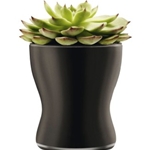 Plant Pots