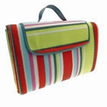 Picnic Blankets & Beach Towels